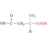Asparaginska kiselina (599×236 px)