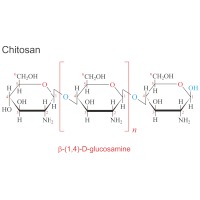 Chitosan (1359×754 px)