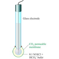 CO<sub>2</sub> ion selective electrode (711×1255 px)