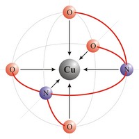 Cu-EDTA chelate complex (980×980 px)
