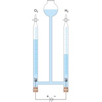 Hoffmanov aparat za elektrolizu vode (834×2291 px)