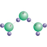 Hydrogen bond (1461×775 px)