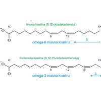 Omega-3 i omega-6 masne kiseline (1438×775 px)