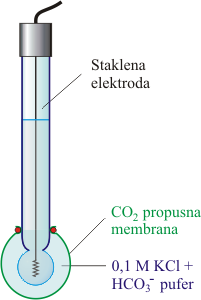 CO2 electroda