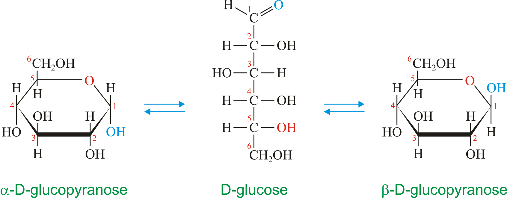 Beta Glucose Ring Structure Monosaccharides Stock Illustration 1853522839 |  Shutterstock