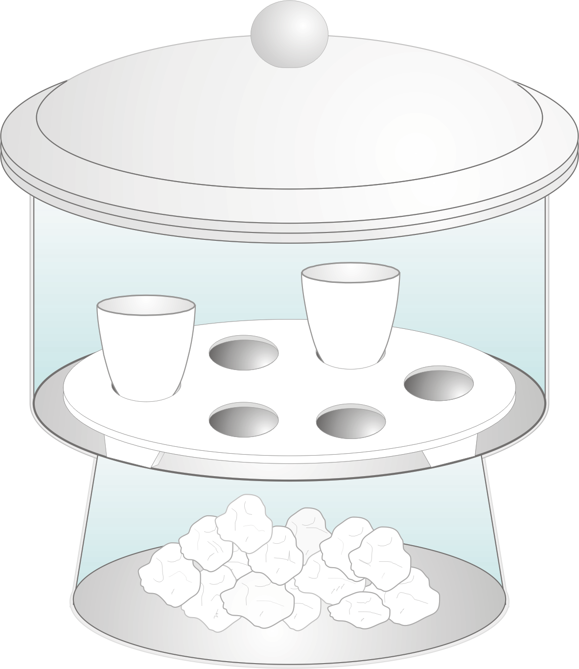 Desiccator Chemistry Dictionary & Glossary