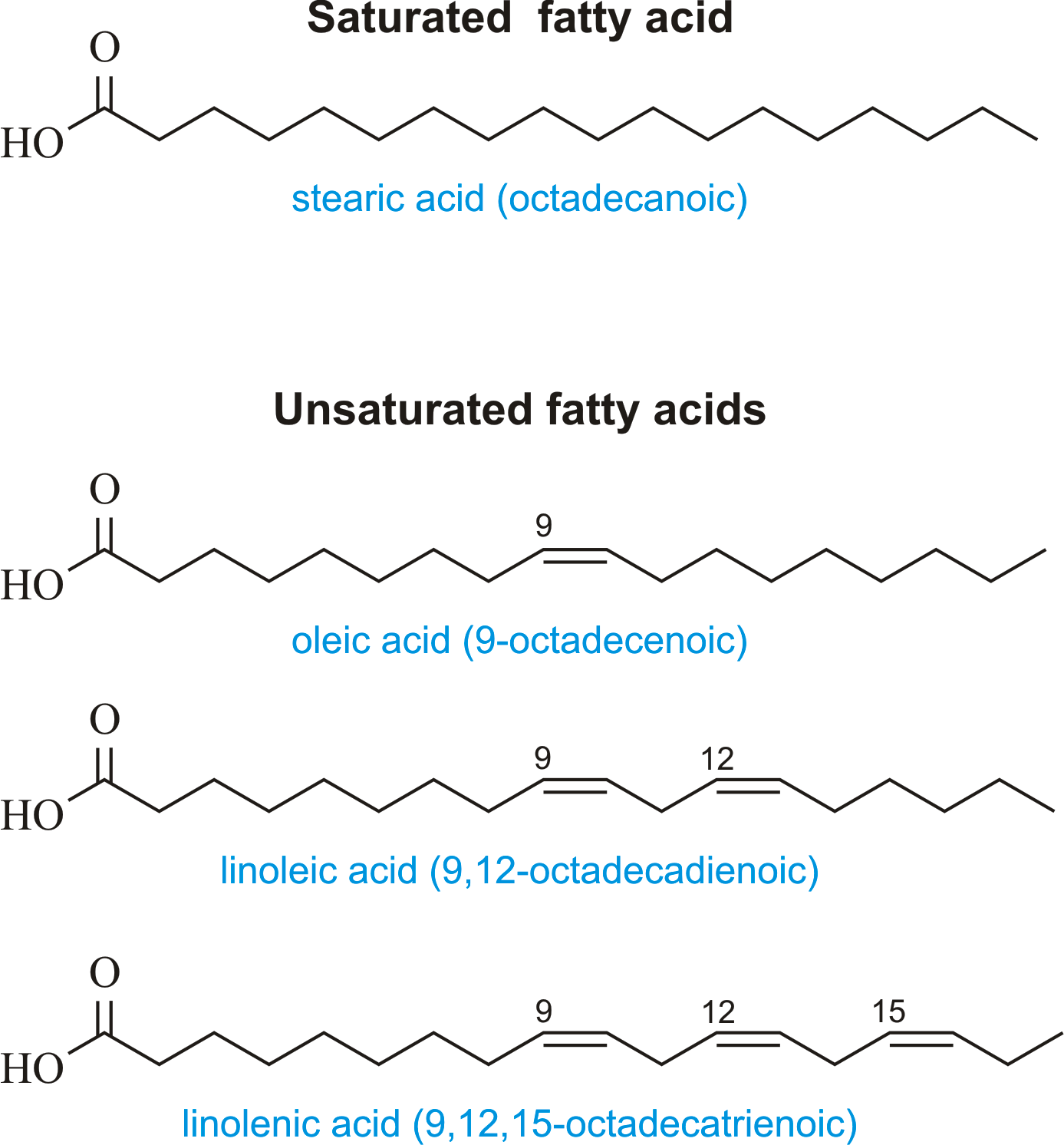 Fatty acids. 