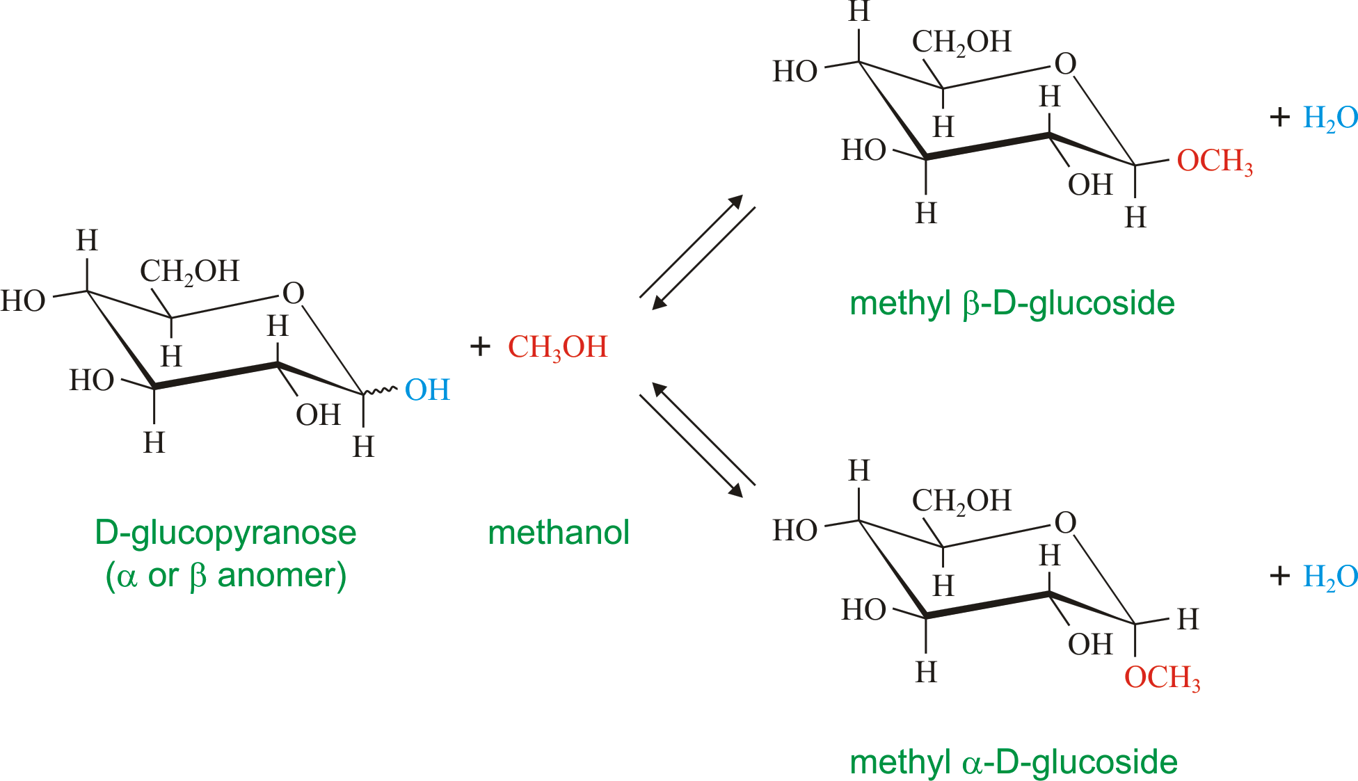 Chemistry Glossary Search Results For Anomer