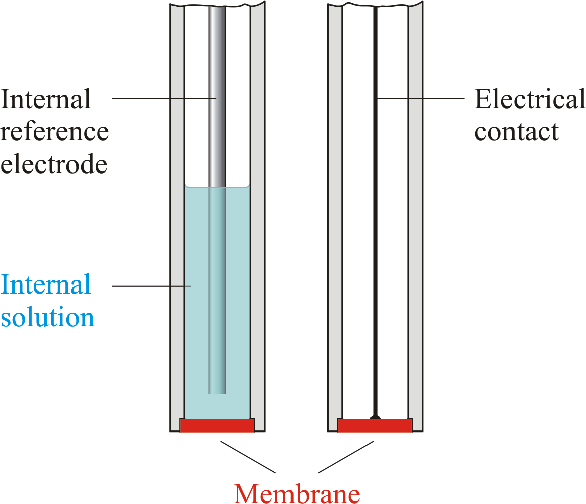 Ion selective electrodes