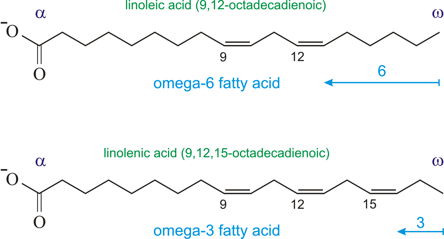 Omega fatty acids