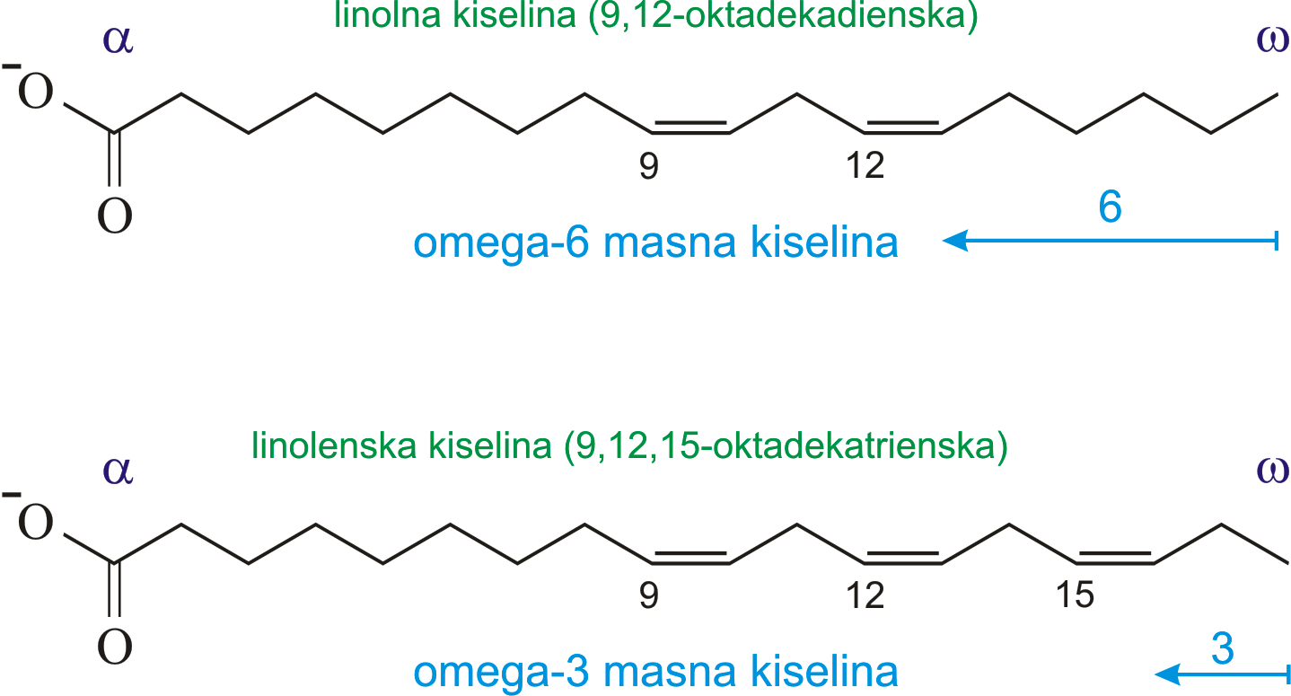 Zasićene i nezasićene masne kiseline kemija