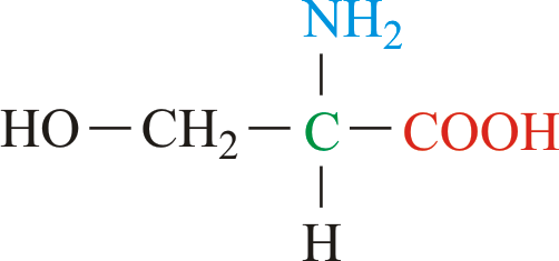 download schaums guideline