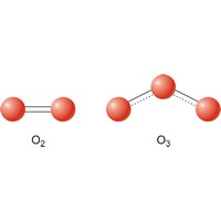 Allotropic forms of oxygen (1418×467 px)