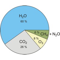 Contributions of gases to the greenhouse effect (866×712 px)