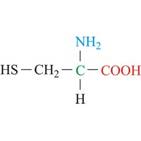Cysteine (495×235 px)