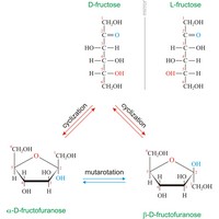 Fructose (fruit sugar) (1467×1564 px)