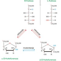 Fruktoza (voćni šećer) (1467×1553 px)