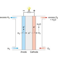 Fuel cell (1379×1128 px)