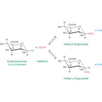 Glycoside (1952×1123 px)