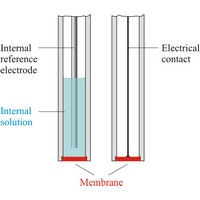 Ion selective electrodes (1164×1001 px)