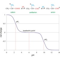 Isoelectric point (1705×1512 px)