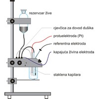 Kapajuća živina elektroda (1031×1142 px)