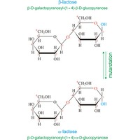 Lactose (928×1536 px)