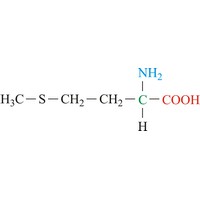 Methionine (746×235 px)