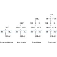 Monosaccharide (1697×886 px)