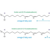 Omega-3 and omega-6 fatty acids (1438×775 px)