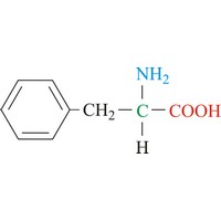 Fenilalanin (600×235 px)