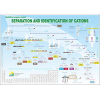 Separation and identification of cations (3057×2160 px)