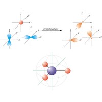 sp<sup>2</sup> hybrid orbitals (2179×1681 px)