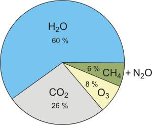 Contribution of the most important greenhouses gasses to the greenhouse effect