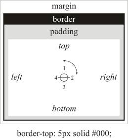  CSS box model with margins, borders and paddings